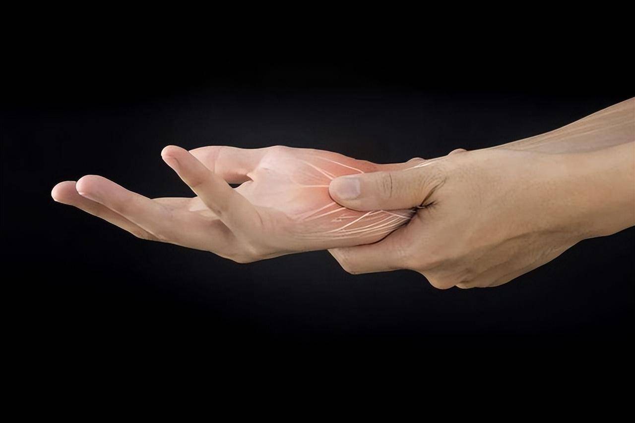 这一味接骨草,有接肢续骨之能!就连腰疼腿疼,风湿痹痛皆可用!