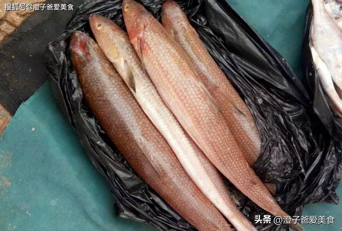 春季吃海魚,行家就挑這4種,肉質鮮美無養殖,最適合搭配白酒吃_茅臺鎮