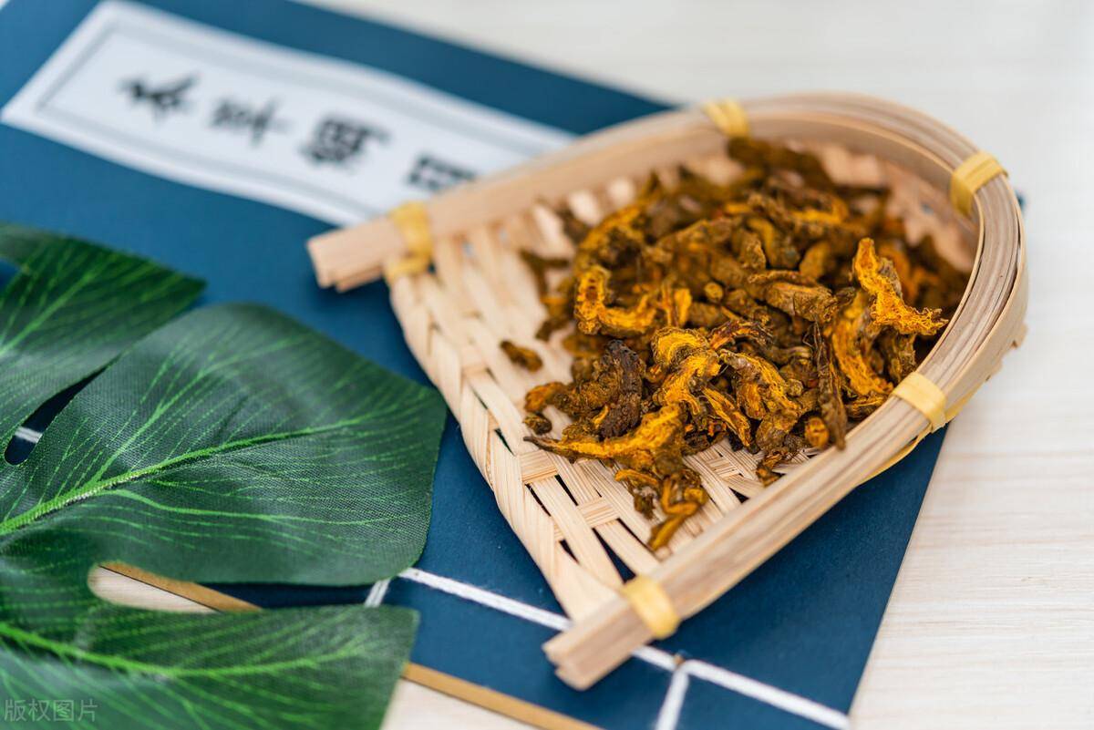 中药界的阿司匹林,黄连配一物,能消一身炎症,胃炎结膜炎皆可用_参考