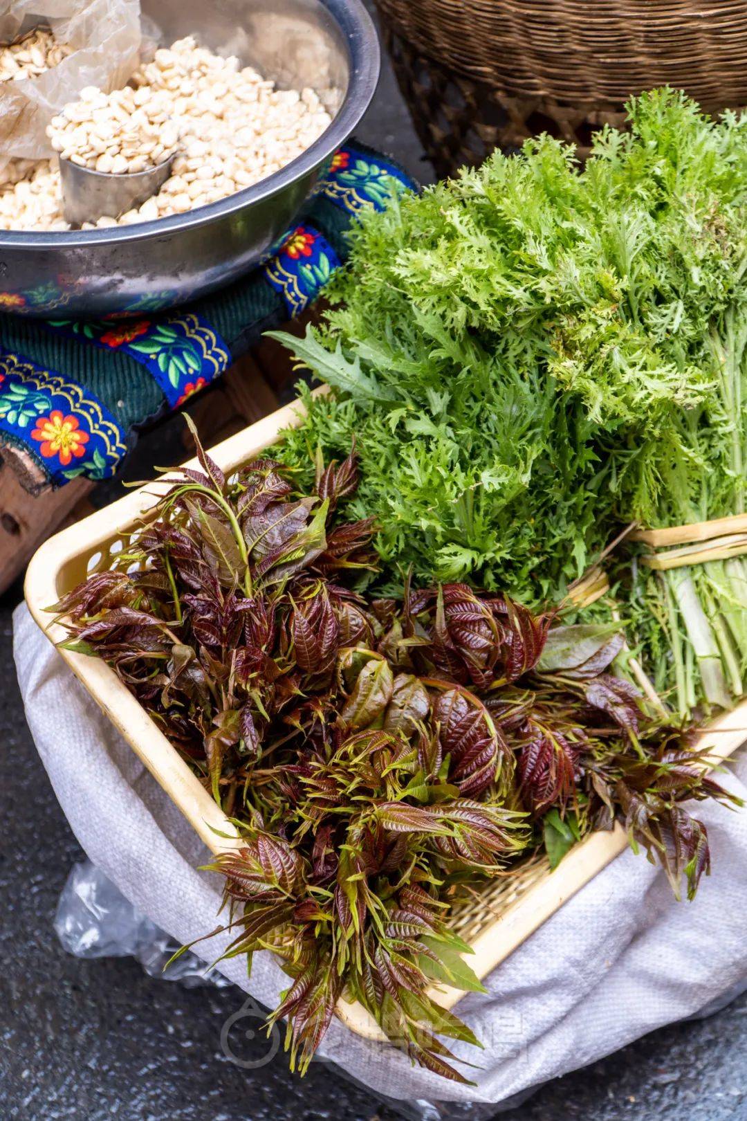 春天的湘西山里长出好多野菜是独属于这方土地的美味