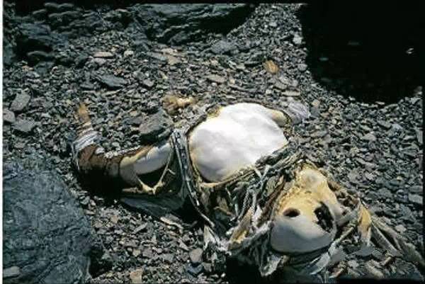 珠峰上有多少的死尸图片