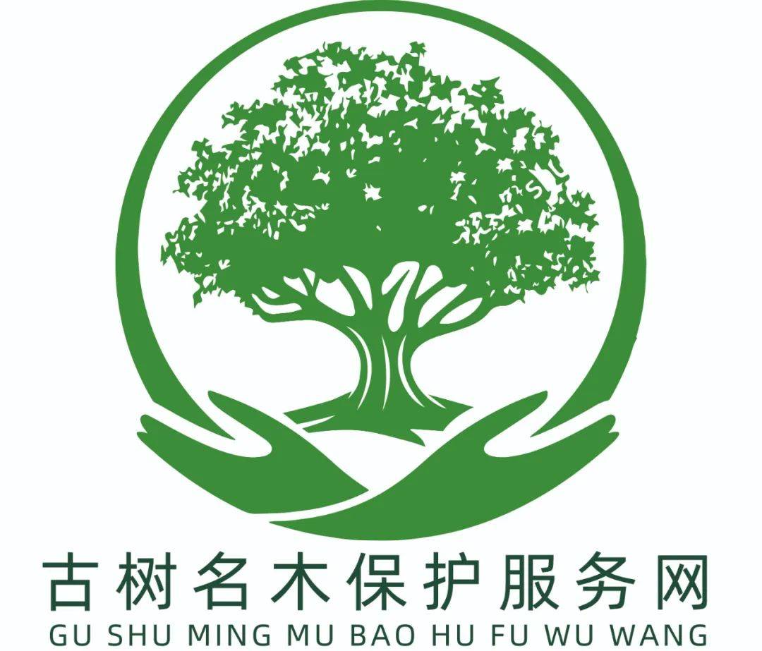 华林森茂 古树名木保护 科技赋能 | 科技助力古树保护,让古树保护更加
