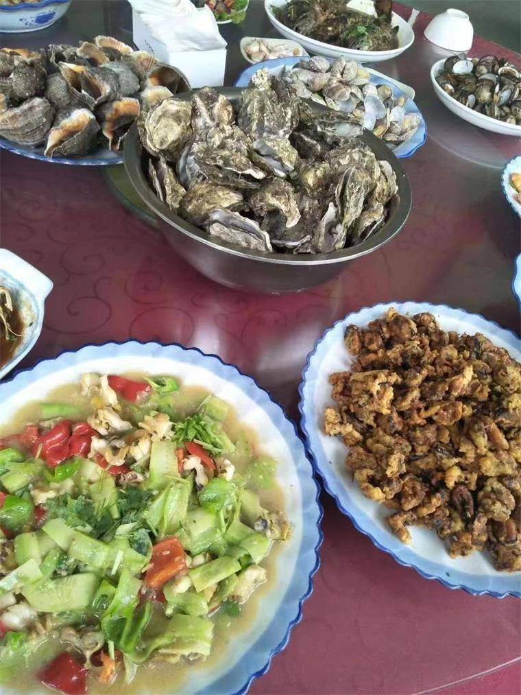 辽宁大连庄河海王九岛阳光海岸海边度假村,自家养殖海域,海鲜超级肥美