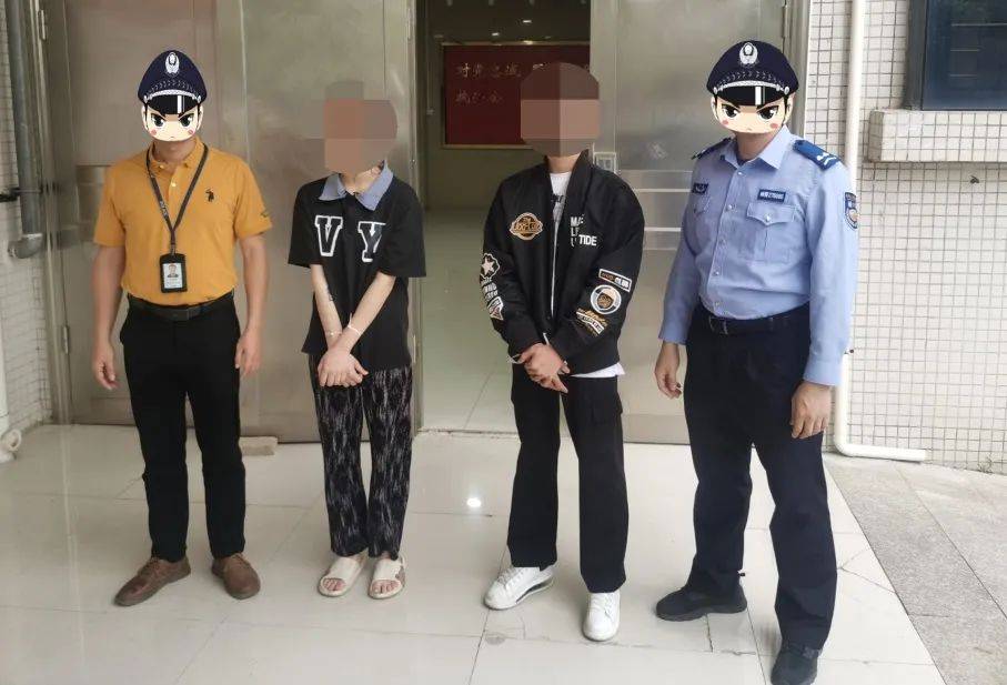 陆丰谢某莎等12名男女被抓_工作_嫌疑人_电池