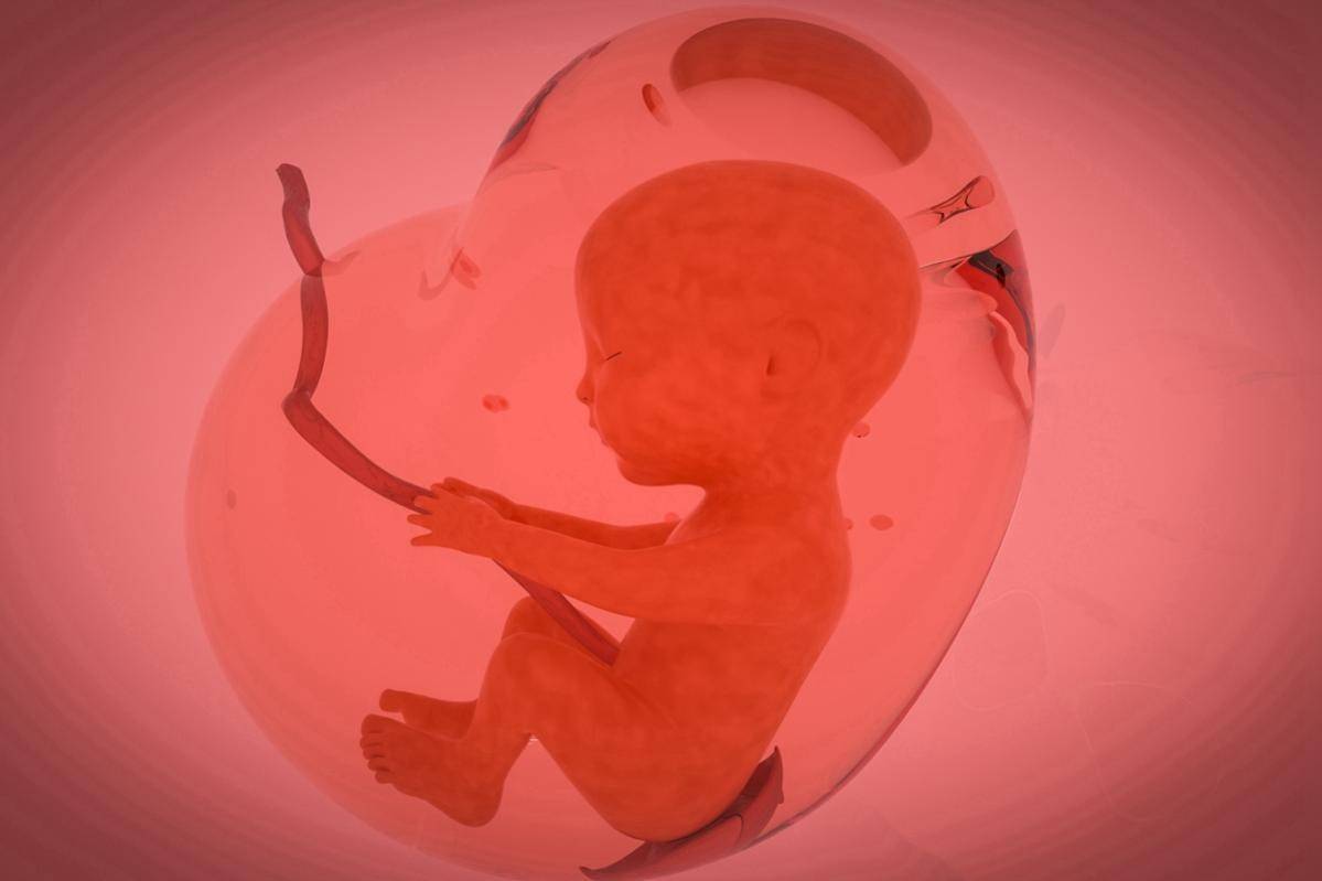 18周胎儿b超图怎么看(附6个部位详解)