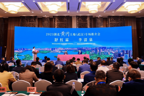 2023湖北黄冈土地（武汉）专场推介会成功举行 (图3)