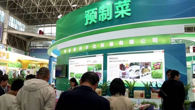 首届山东聊城(莘县)绿色蔬菜博览会于莘县会展中心盛大开幕_农业_品牌