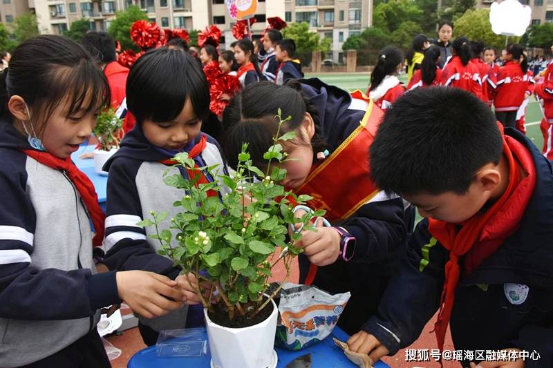 緊張的比賽在學生們《勞動最光榮》的手勢舞中拉開了帷幕.