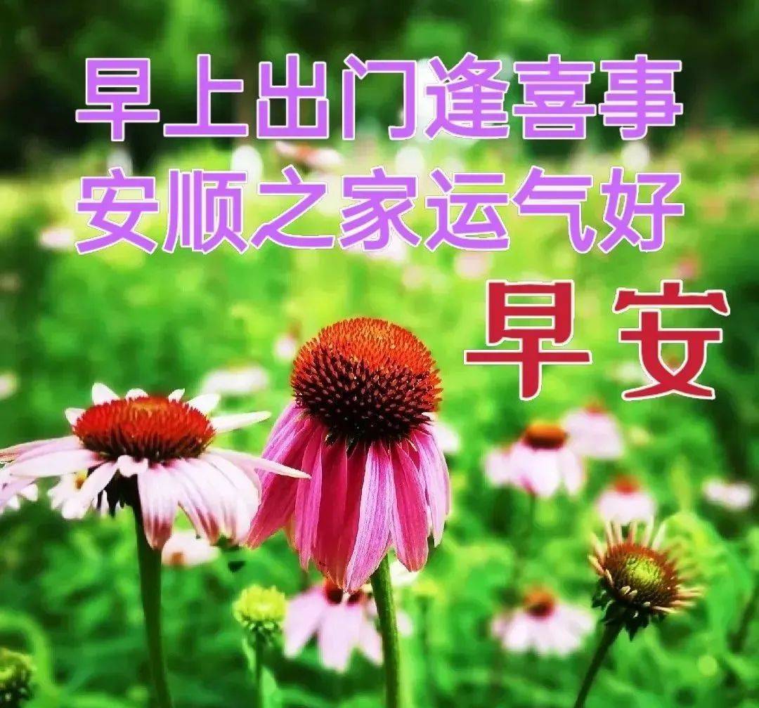 一天心情樂逍遙,上班順利生活好,煩惱憂愁到九霄,還有祝福身邊繞,朋友