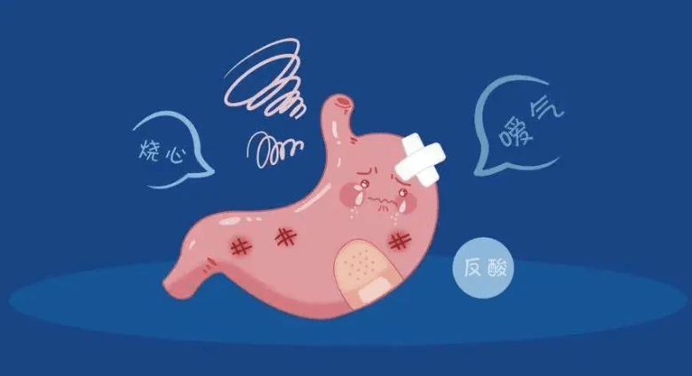 胃酸_食管_胃部