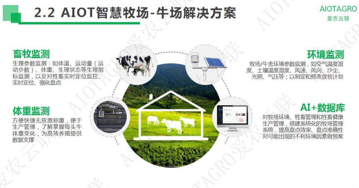 智能牛项圈帮助农产主实现牧场数字化_李先生_管理_奶牛