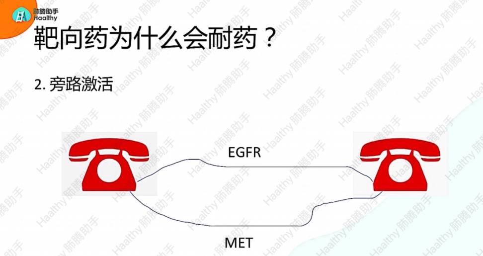 最典型的就是egfr靶向药耐药之后出现met扩增第二种情况,旁路激活这种