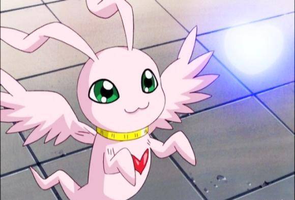 即便进化到究极体,还是逃不过战败的命_妖精兽_天使_结界