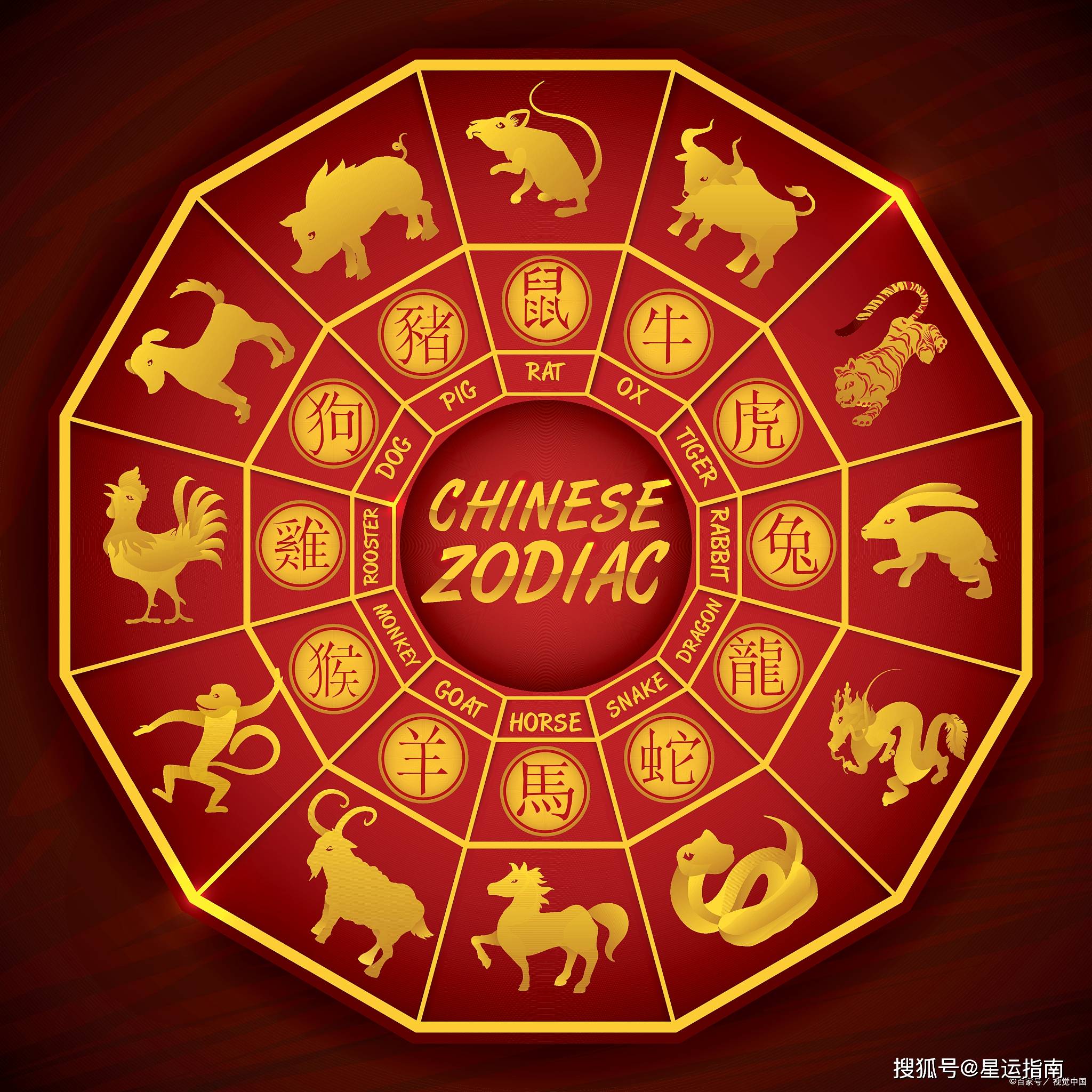 胡子叔子讲生肖运势(胡子叔是谁)