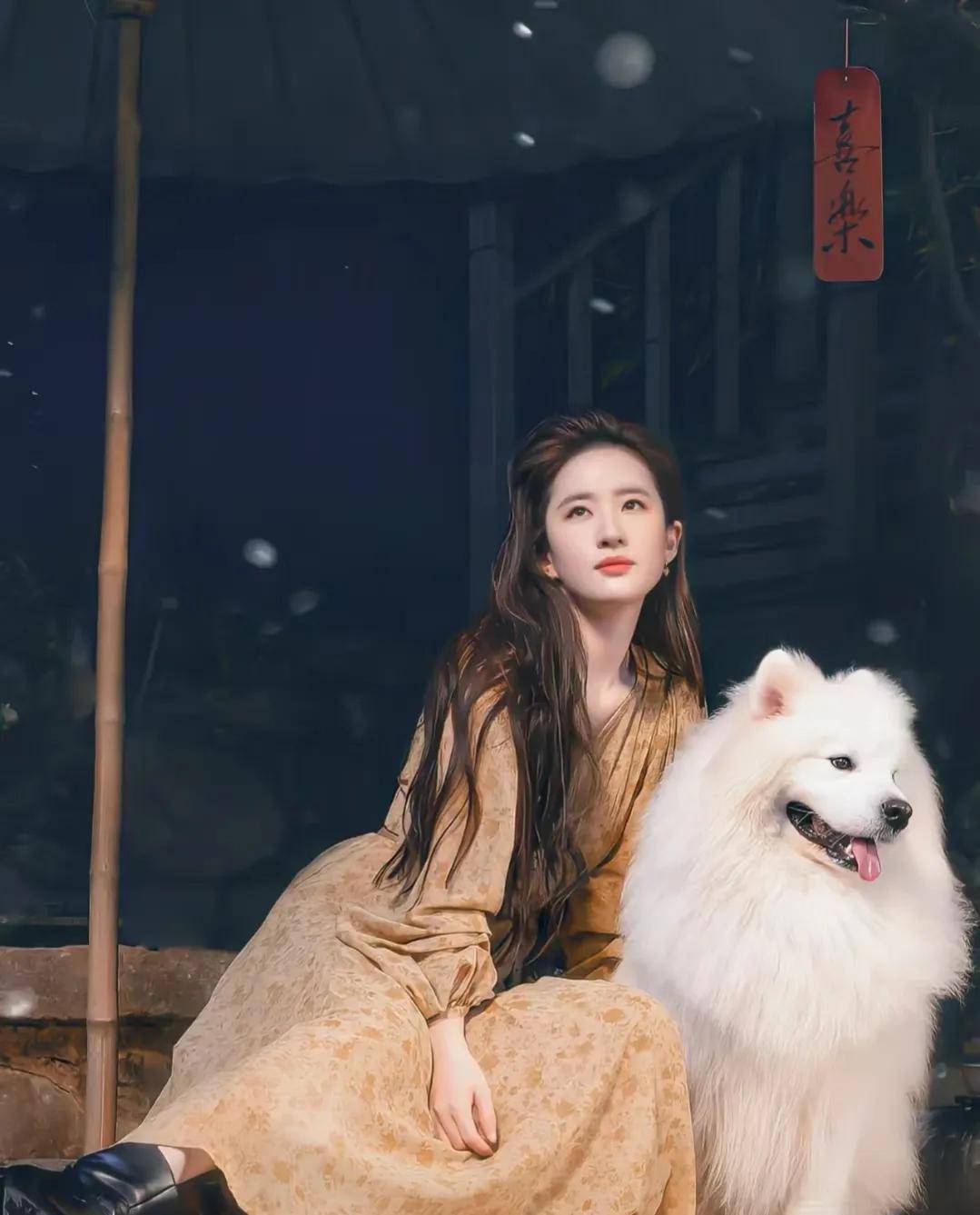 杨洋突然变成刘亦菲的前辈,贴心告知综艺挺累,主持人准备挨打_感觉