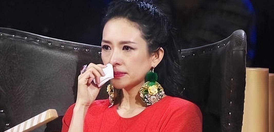 因为"泼墨门"可以说是让章子怡的"正面形象"一落千丈.