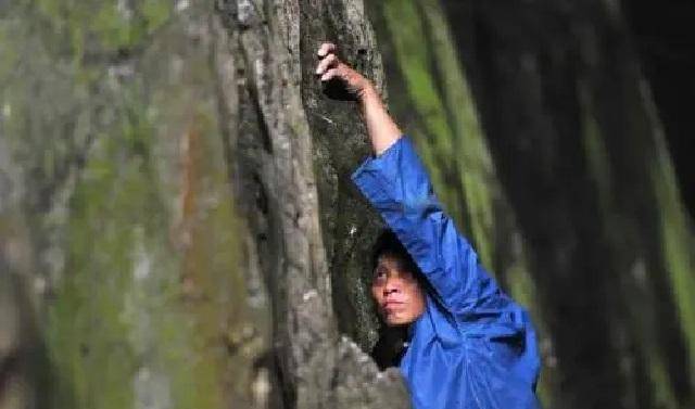 苗寨崖葬:背尸人徒手攀悬崖,因危险,不挣钱,如今坚