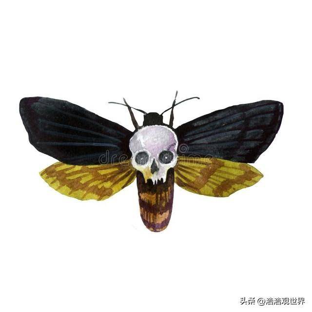 一分钟了解电影《沉默的羔羊》_克拉丽斯_水牛比尔_汉尼拔