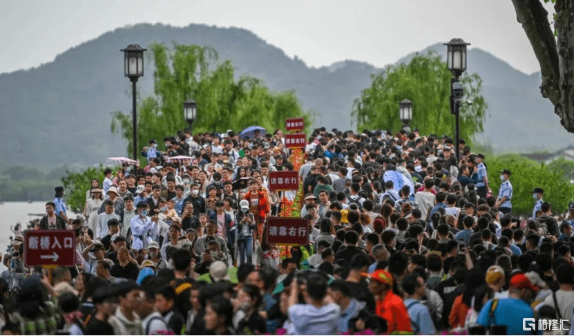 铁皮石斛花（石斛花泡水喝的五大禁忌） 第1张