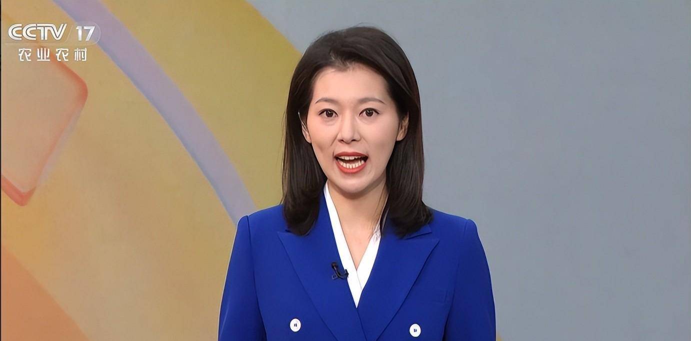 电视新秀田靖华:曾是广东卫视一哥,因长相帅气被称"