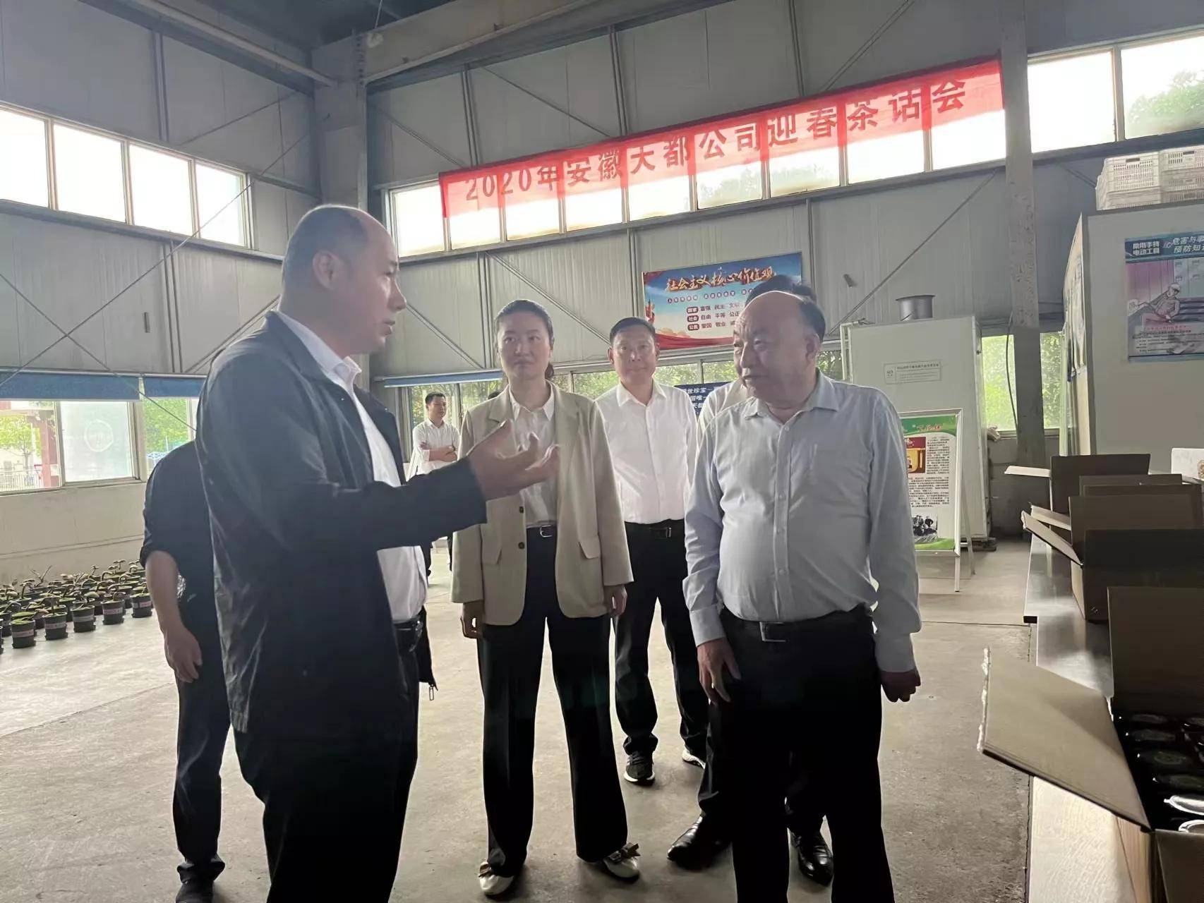 合肥市残联理事长张圣涛一行调研安徽天都公司扶残助残工作～～檀力