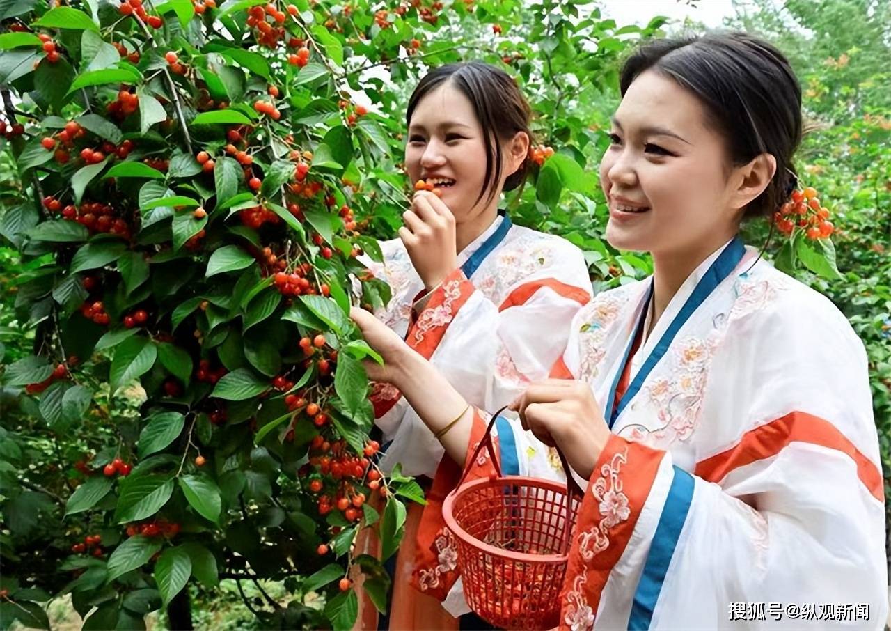 牡丹花水（牡丹花冲水的功效） 第10张