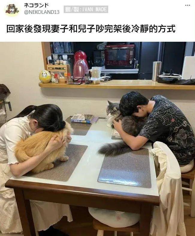 年入百万的项目来了(那些让人笑到肚子疼的搞笑图片)_源泉_生活_啦啦