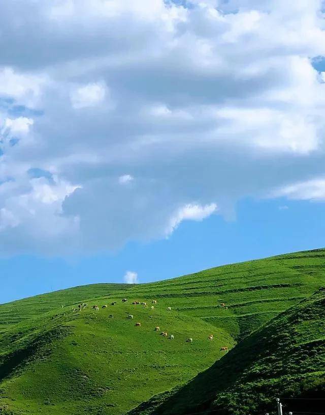 原平木图村图片