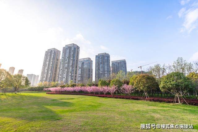 深諳現代居者生活所需,引入湯遜湖,江夏中央大公園等自然資源作為綠色