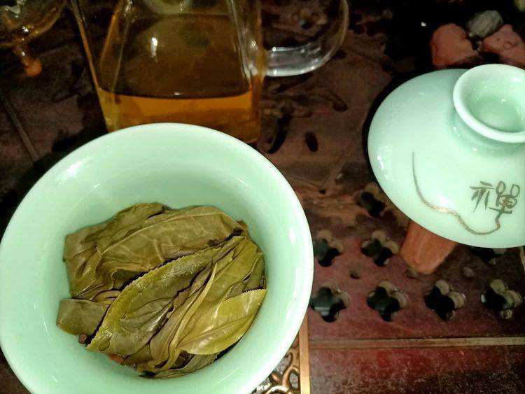 品鉴南糯山古树茶_茶树_老寨_汤色