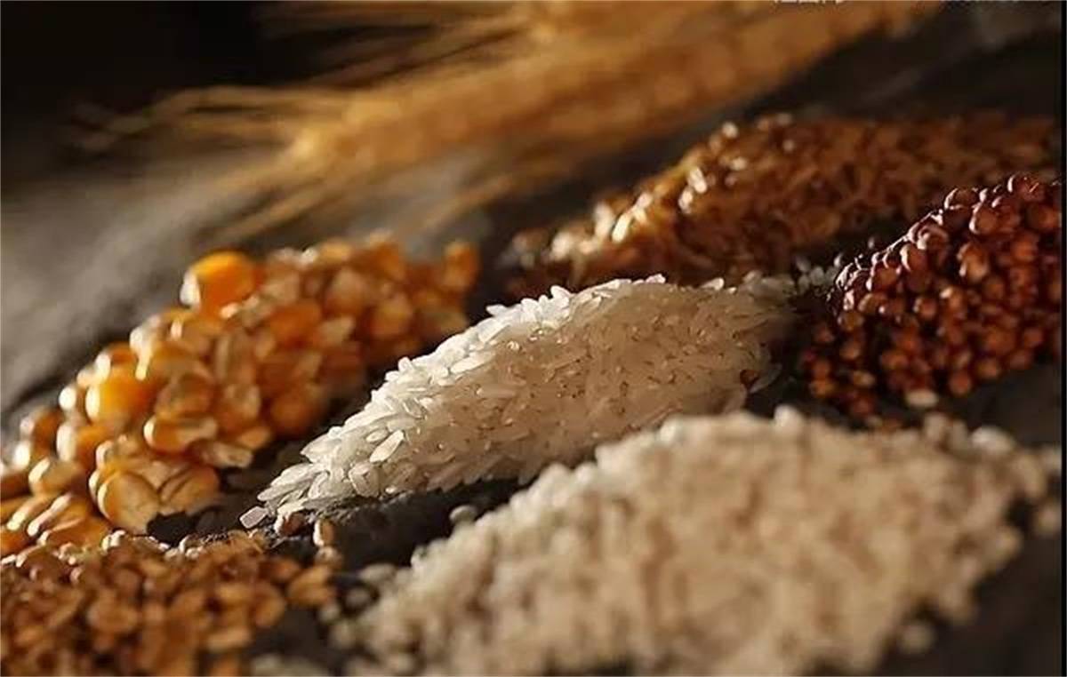纯粮食酒都很贵吗？这几款物美价廉的纯粮食酒，建议收藏！-四种便宜粮食酒品牌
