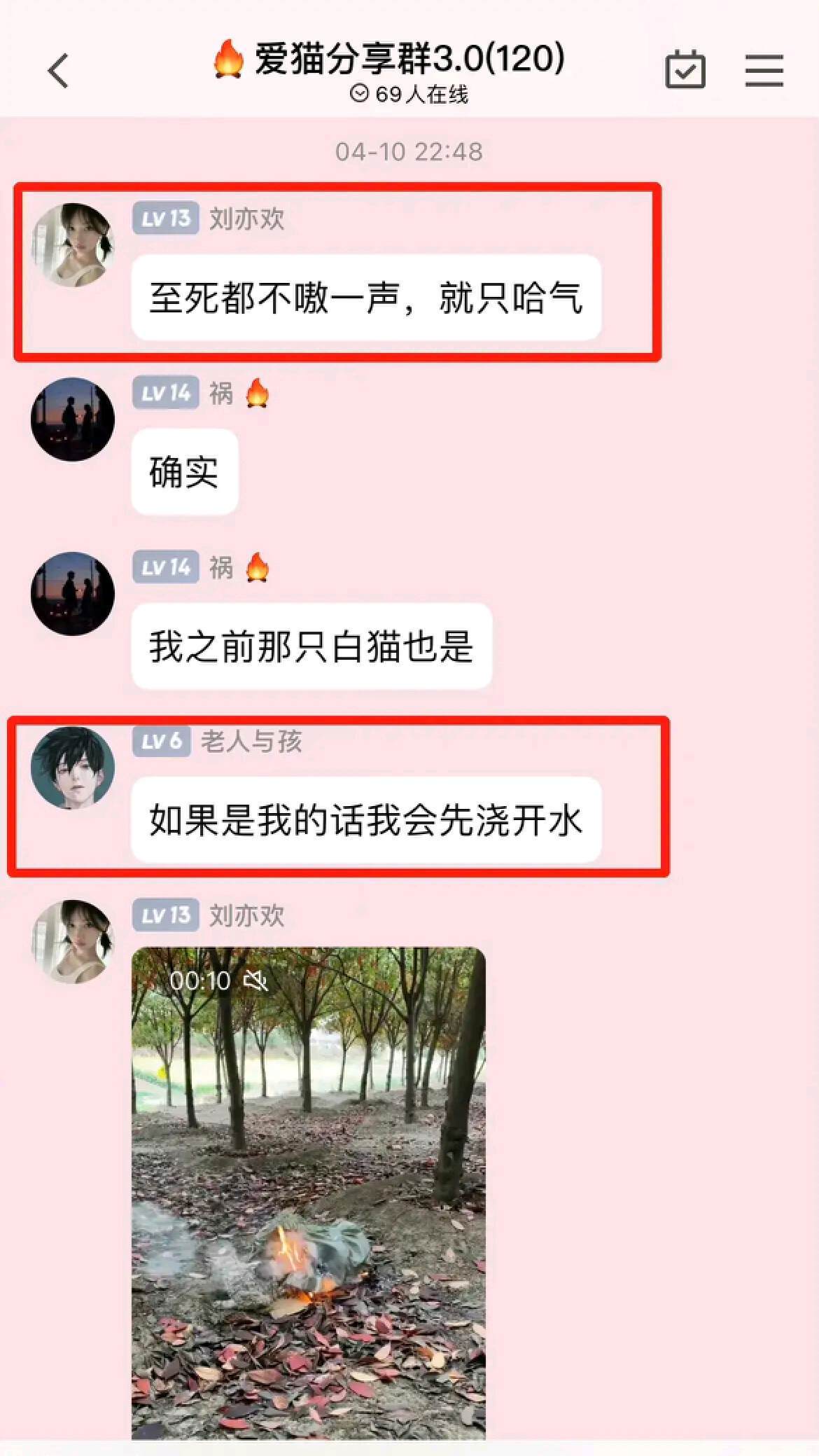 40w网红博主虐猫被拘留,曾经得过阜南好人称号_杰克_虐待_徐某辉