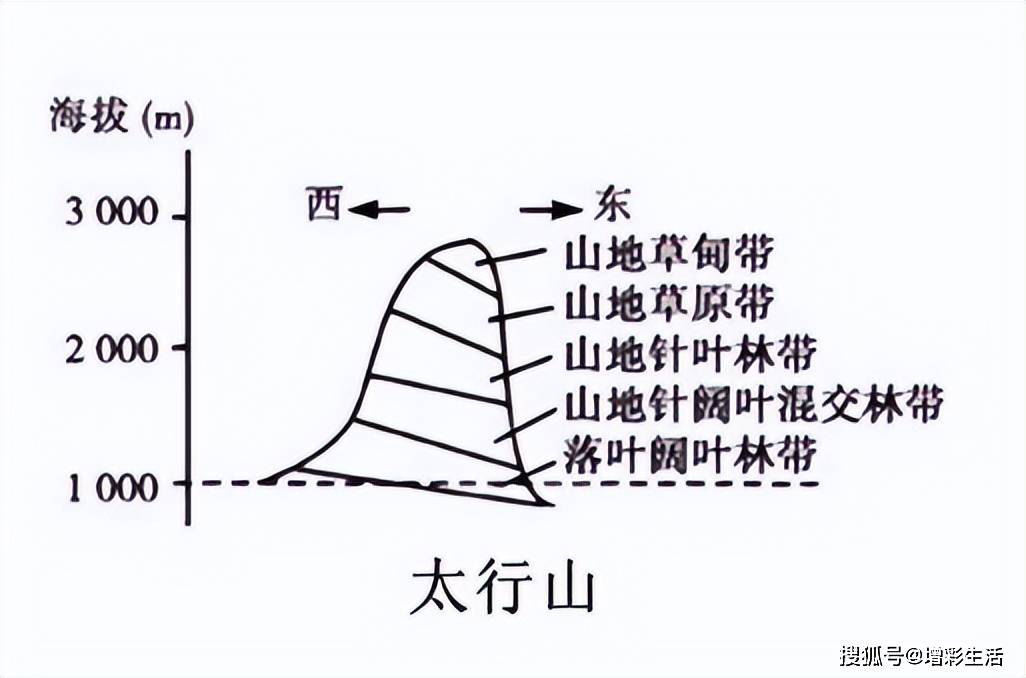 山地垂直自然带示意图图片