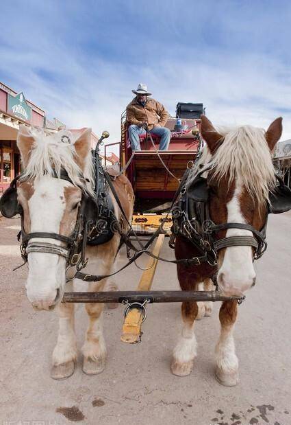 丈夫对妻子说:"为什么我们不能向那马拉车一样呢?".