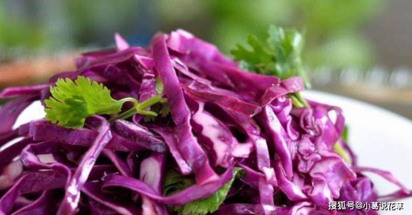 花青素抗衰老,这菜含量高,女人多吃不显老,皮肤越来越好_保养_美食