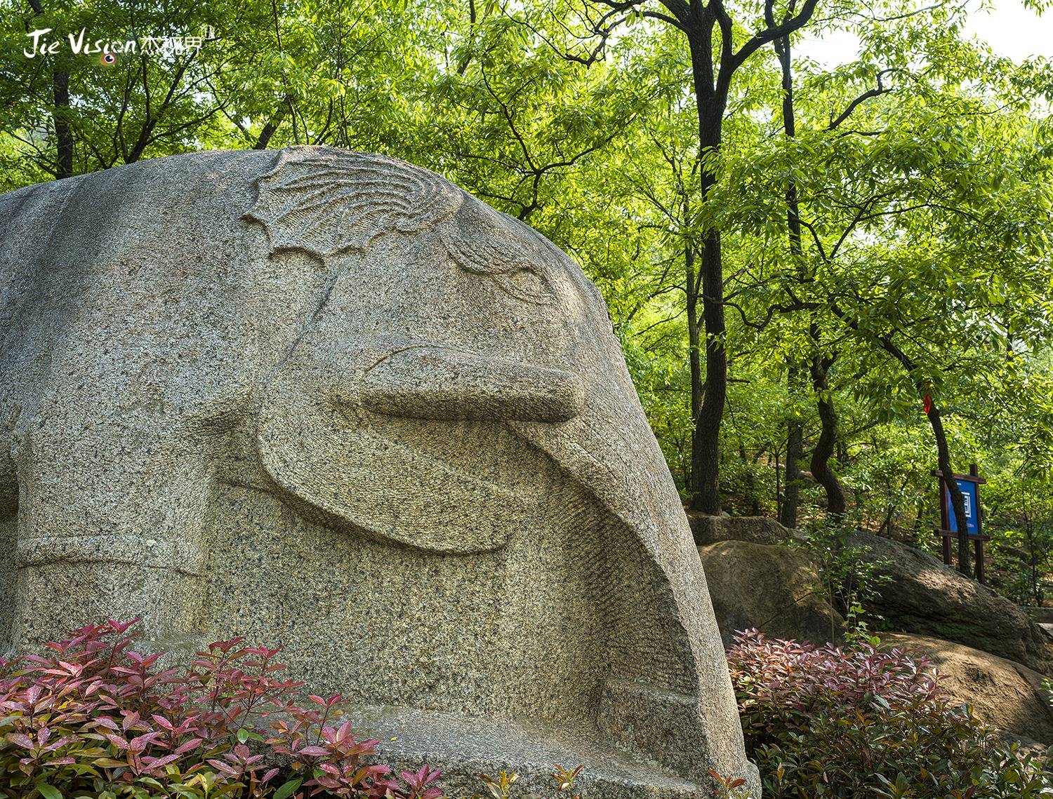 孔望山石象图片