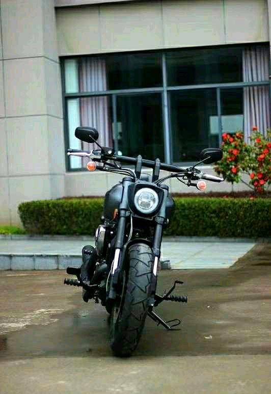 龙嘉新250双缸太子车,外观霸气,纯正美式巡航风,很有哈雷味_搜狐汽车