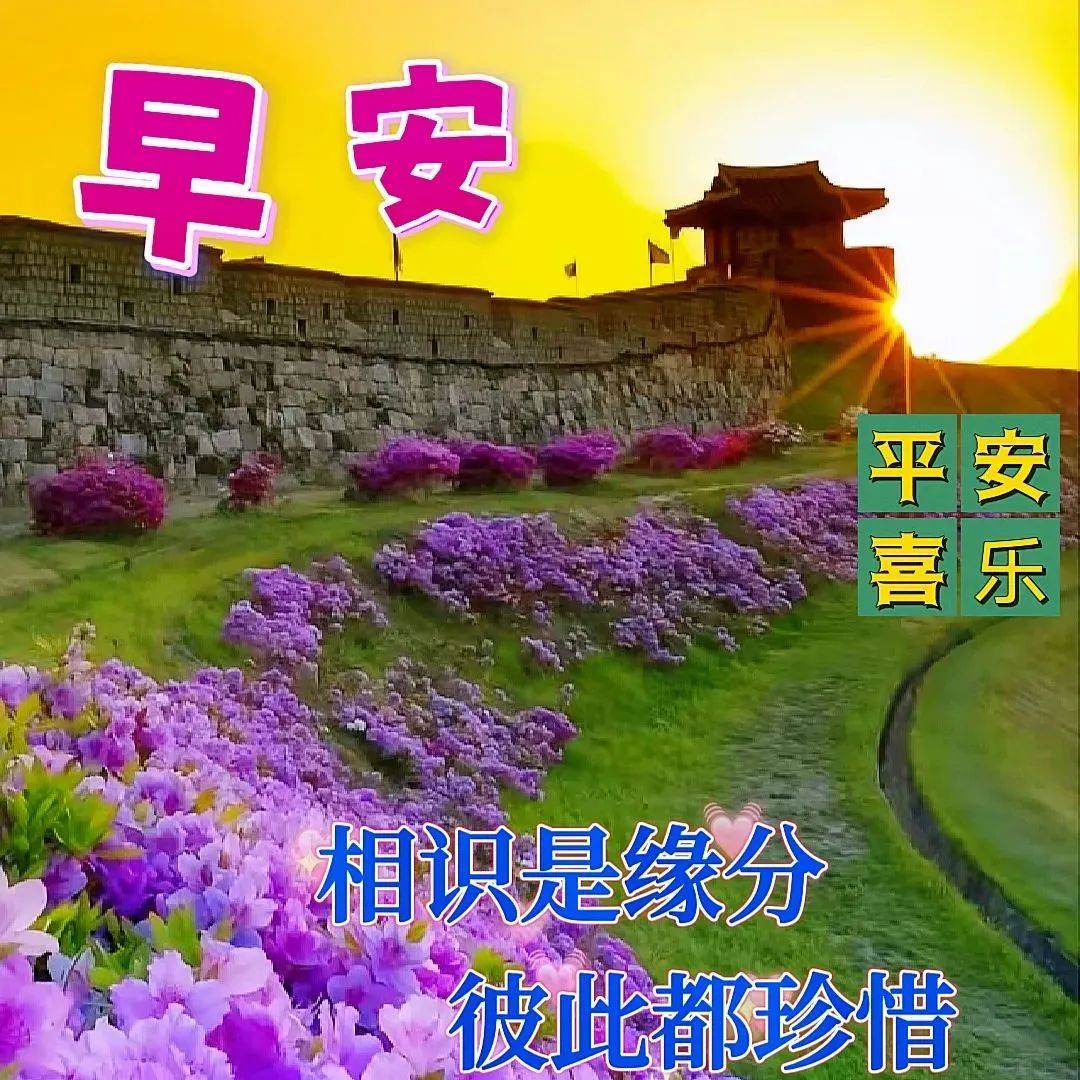 5月11日星期四早安祝福暖心图片带字带早上好语录,祝朋友们幸福吉祥!