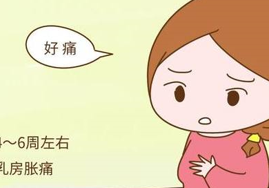 胎儿_问题_乳房