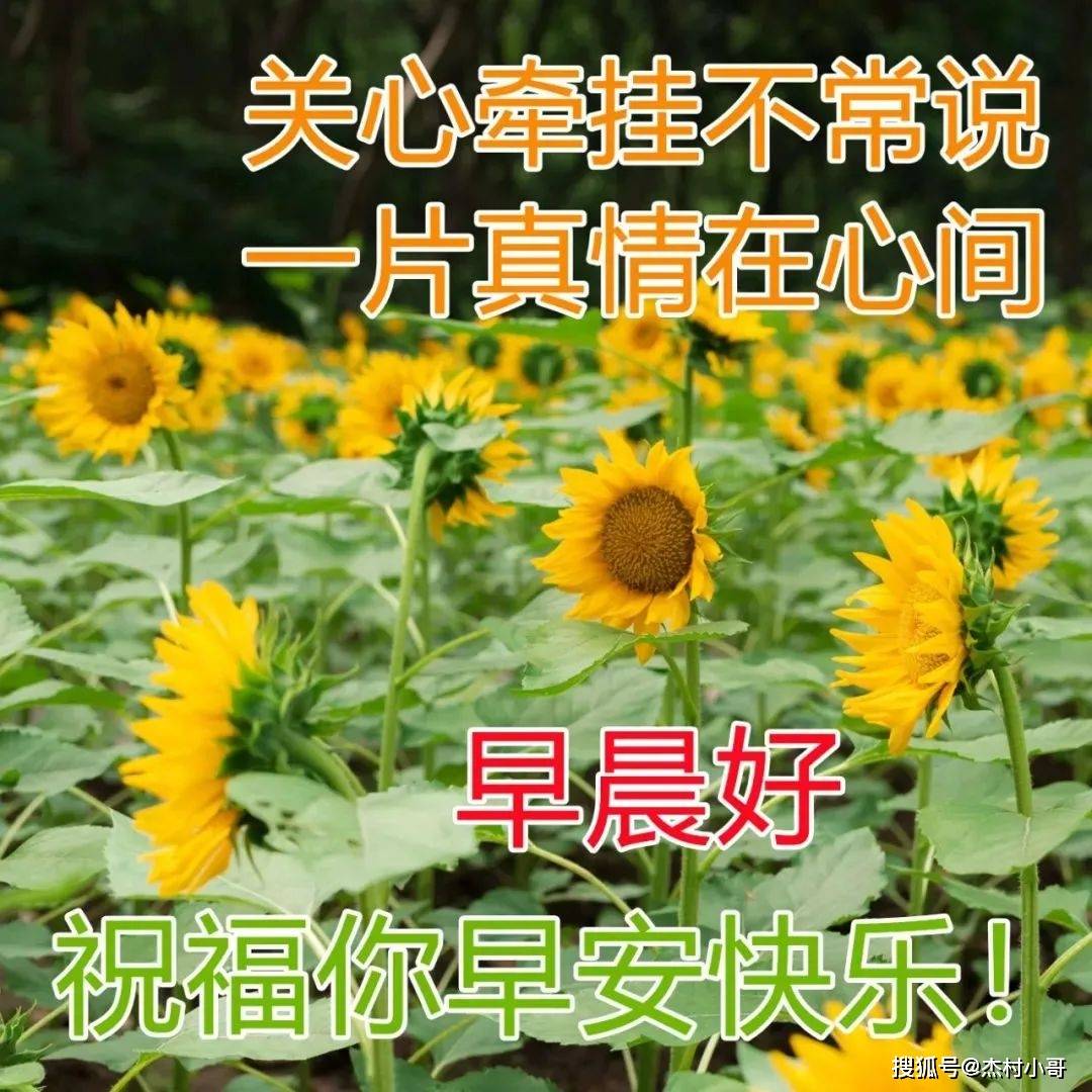 周五最美早上好动态表情图片大全 2023最新漂亮早安问候图片带字_朋友