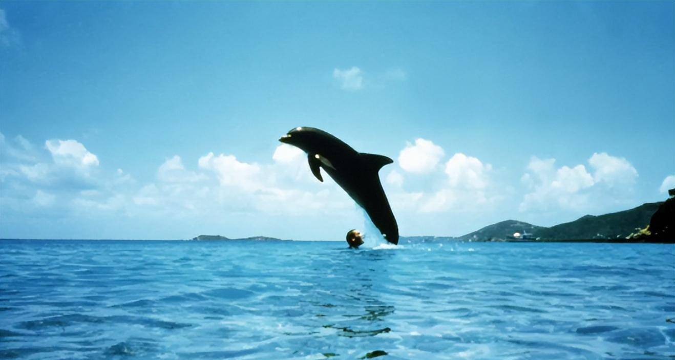 《碧海蓝天》中自由潜水场景,对电影角色性格和情感的塑造_雅克_挑战