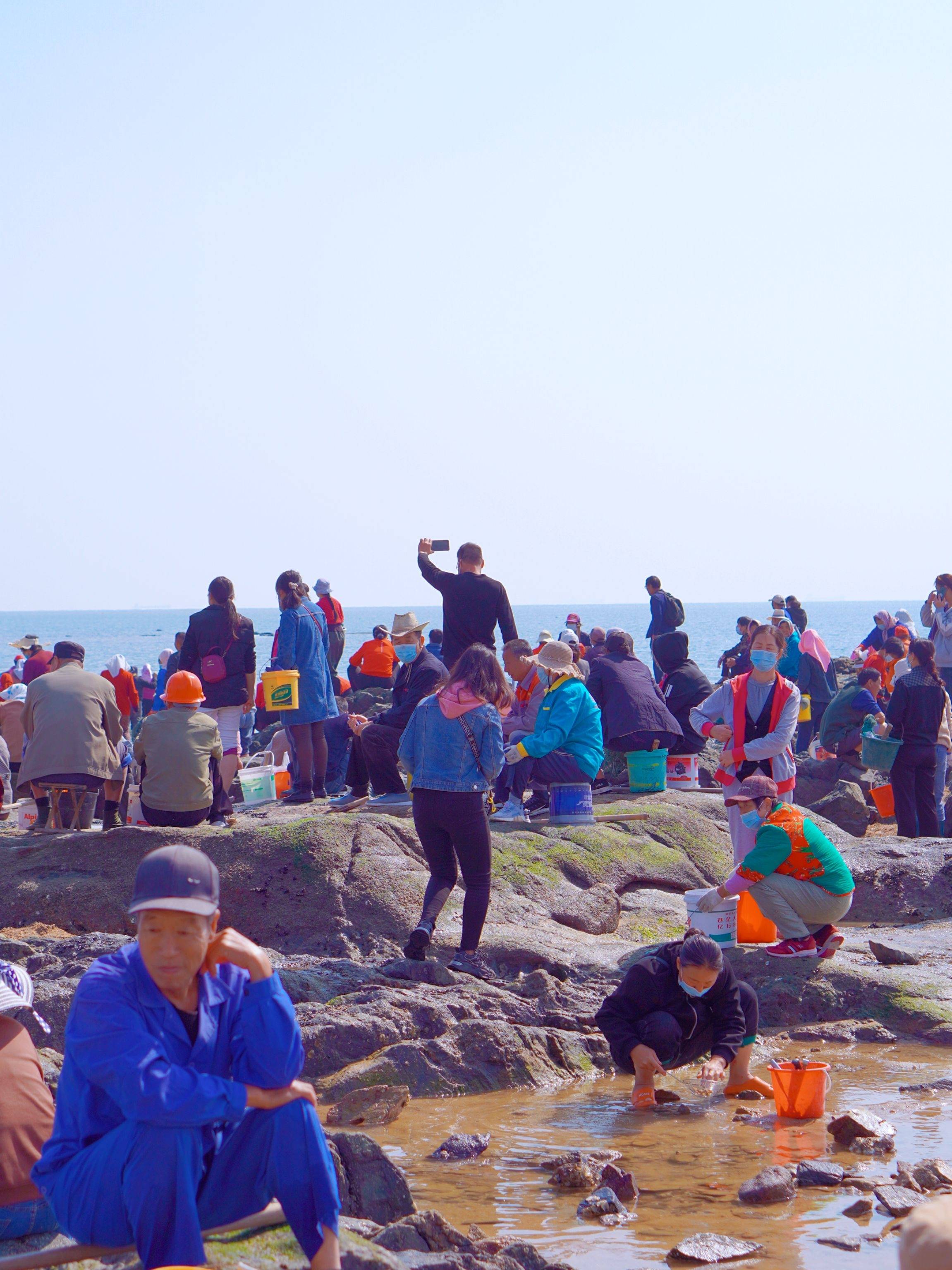 刘家湾赶海园退潮图片