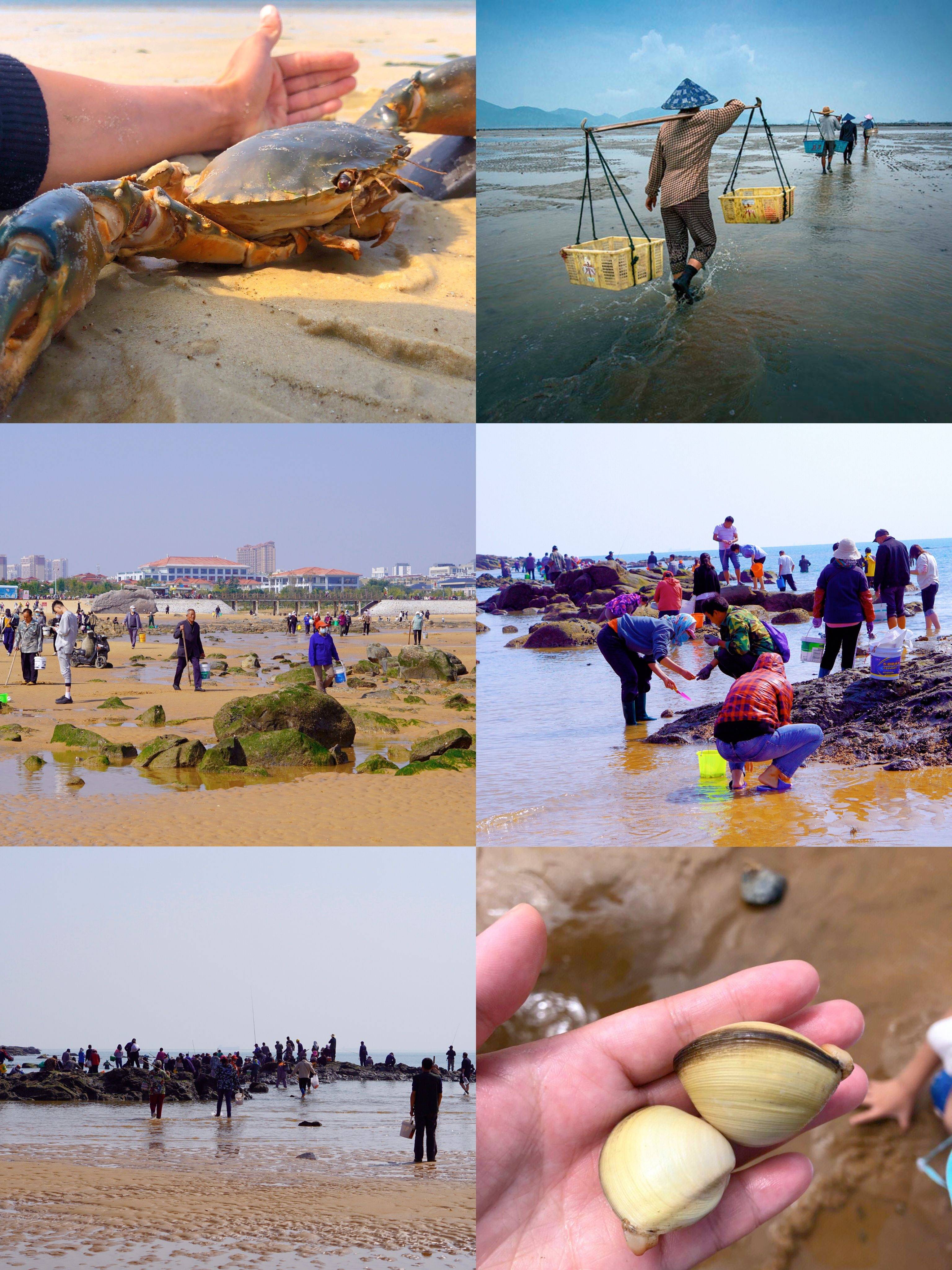 威海国际海水浴场赶海图片