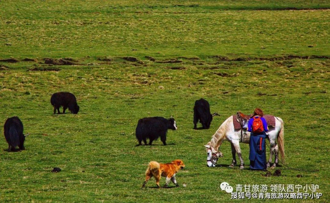 唐克—瓦切塔林—红原月亮湾—阿坝第五天:阿坝