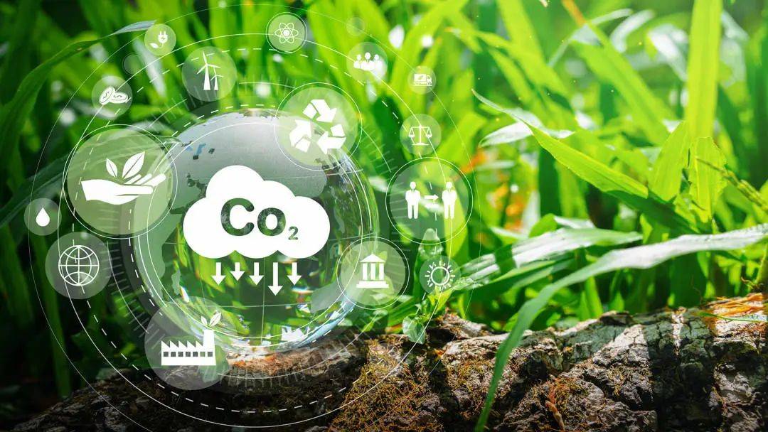 在农村农业领域不仅存在如上所述的碳排放,还有大量的碳汇基础.
