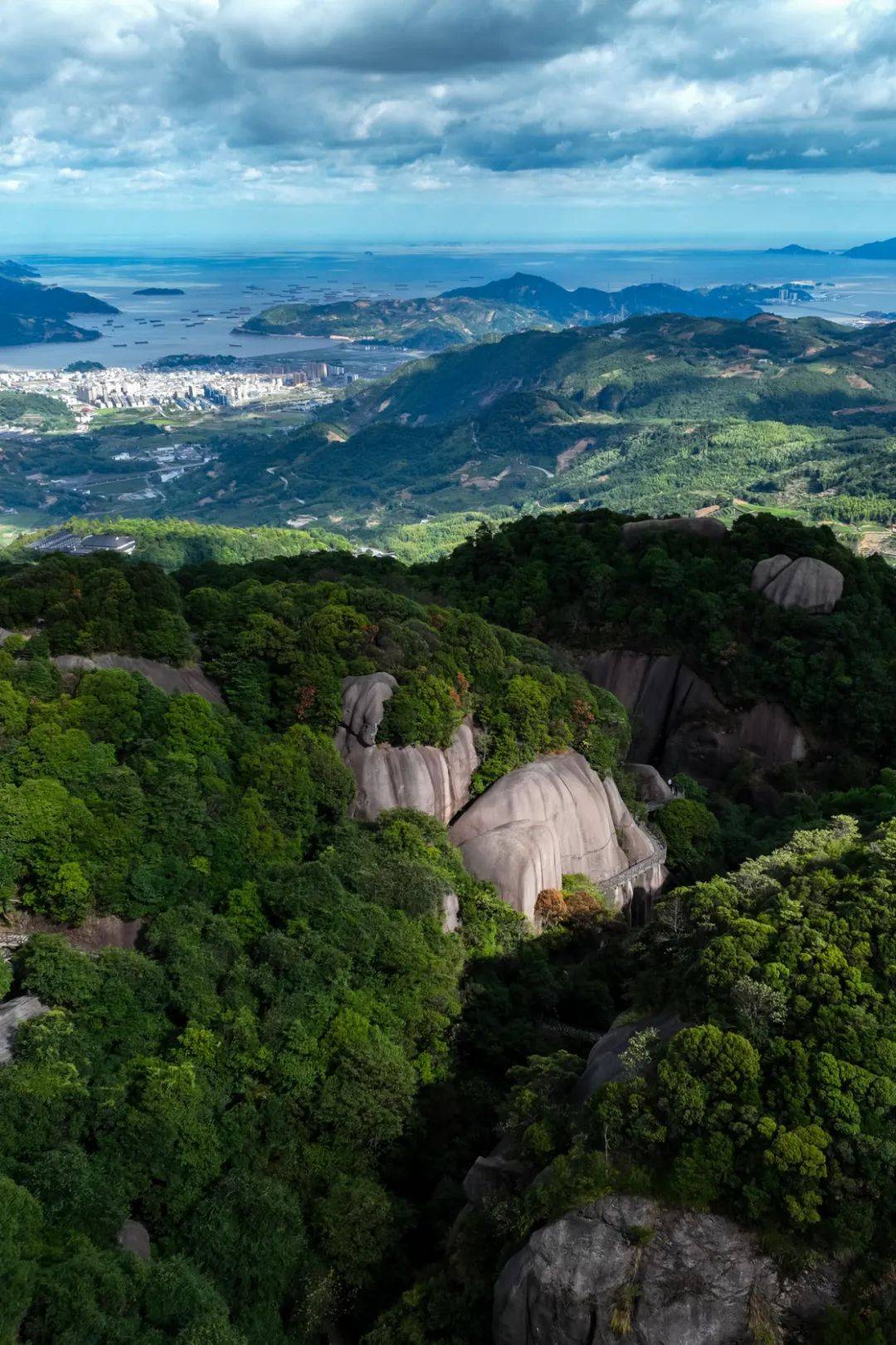 夏天已至,宜喝白茶,白茶科普(2)_福鼎_太姥山_山海