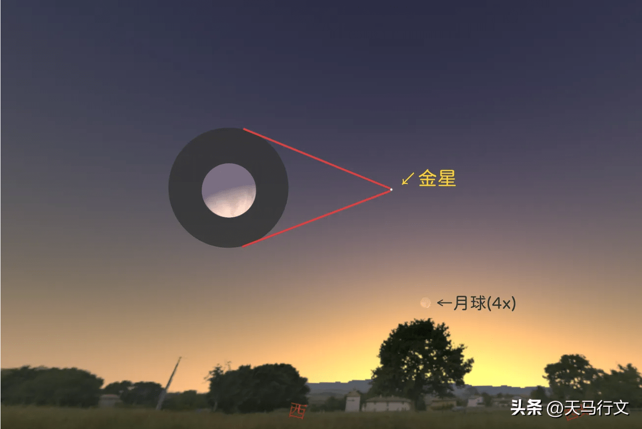 34日落时,金星仰角高达42度,为今年最高,直至21:59才西沉,在夜空中