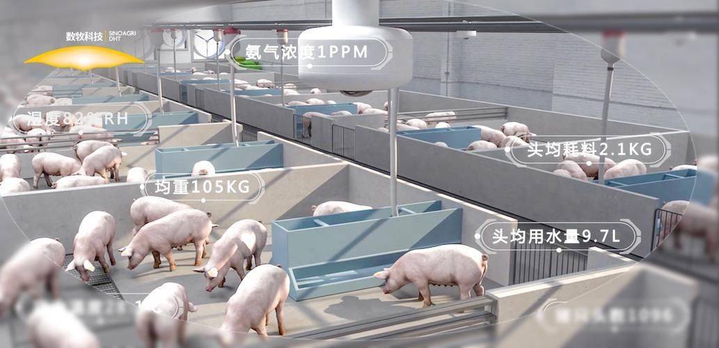 自动化养猪场的物联网信息化解决方案_养殖_进行_管理