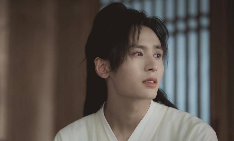 第5名:张哲瀚张哲瀚他的演技好,颜值高,五官很立体,整体都非常漂亮.