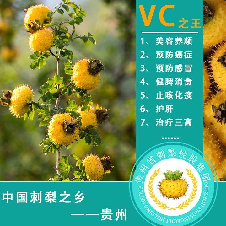 刺梨一大策略教你扩展客户_功效_治疗_维生素